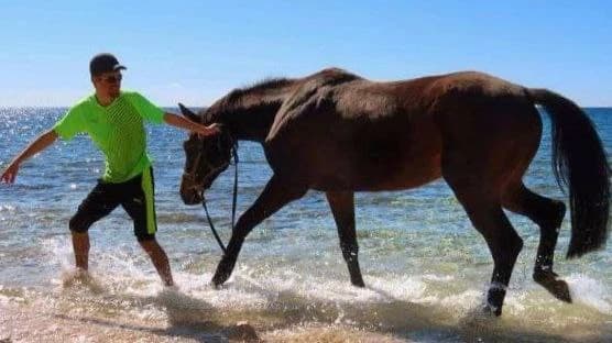 Maurice with horse